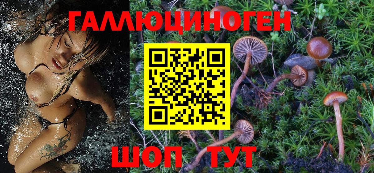 Галлюциногенные грибы GOLDEN TEACHER Советская Гавань