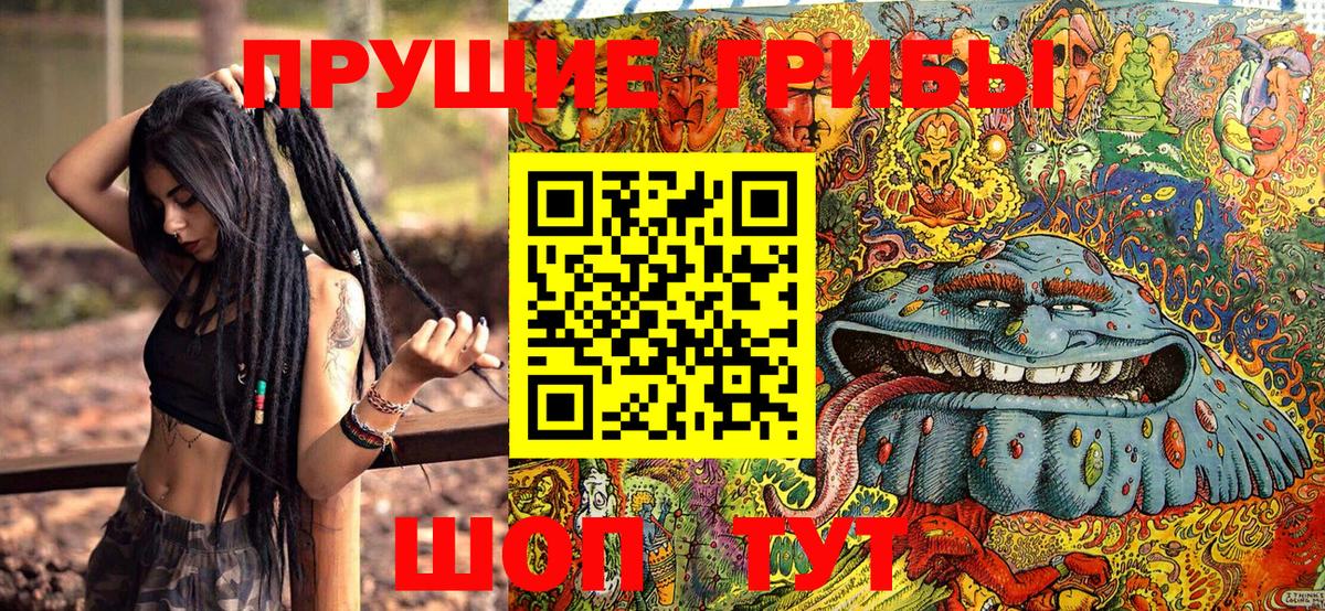 Советская Гавань  Псилоцибиновые грибы Cubensis  магазин продажи   Вход с VPN 